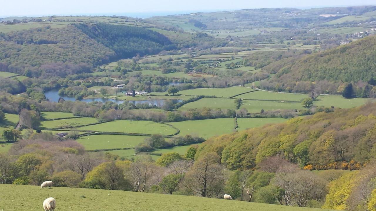 Fernlea Homestay Aberystwyth Eksteriør bilde